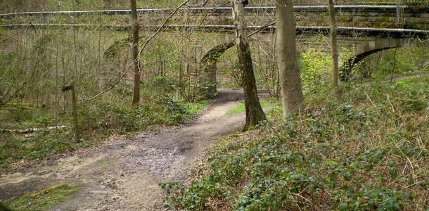 Meanwood Valley Trail’in gizli cevherlerini keşfedin