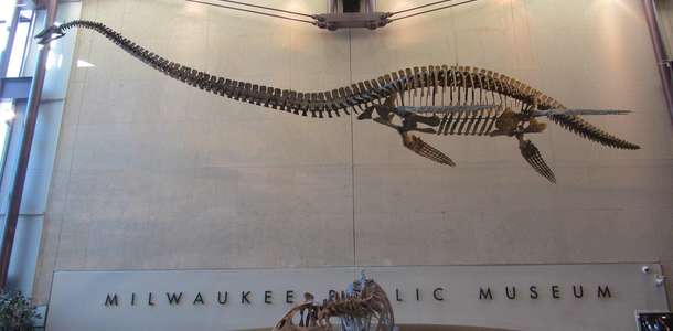Milwaukee Halk Müzesi’ni ziyaret edin