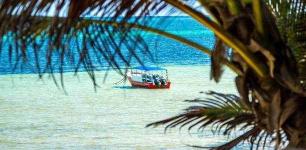 Mombasa’da masmavi plajların keyfini çıkarın 