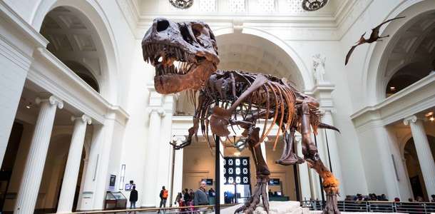 Şehir müzelerinde sanat turu yapın