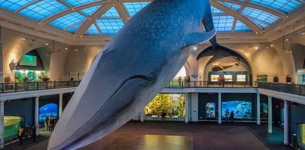 Doğa Tarihi ve Teknoloji Müzesi’nde bir gün geçirin