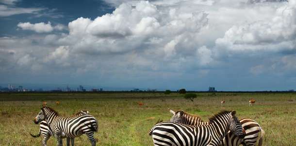 Nairobi Milli Parkı