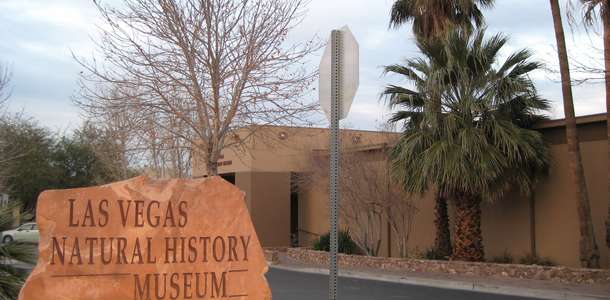 Las Vegas Doğal Tarih Müzesi’ni ziyaret edin  