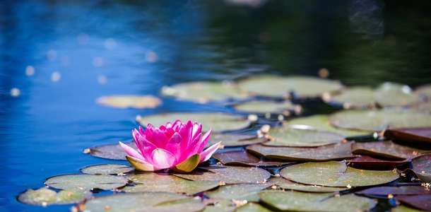 Sarab-e Nilufar’ın romantizmine kapılın 