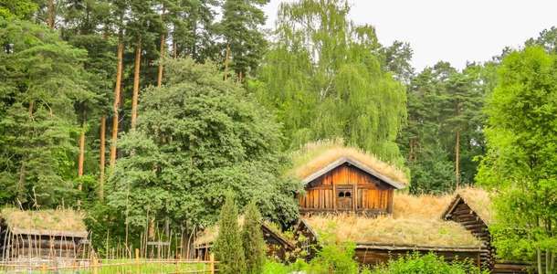 Doğa Tarihi Müzesi ve botanik bahçelerini gezin