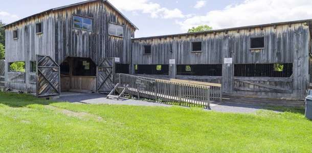 Tarım ve Gıda Müzesi’nde çiftlik yaşamını deneyimleyin  