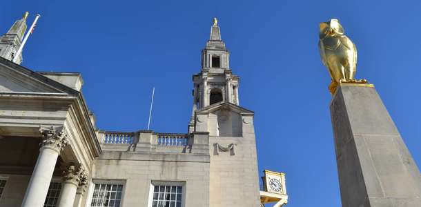 Leeds Owl Trail boyunca baykuşları gözlemleyin