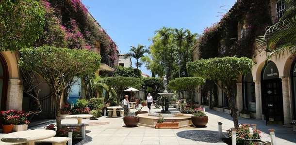 Palm Beach Botanik Bahçesi’ni gezin