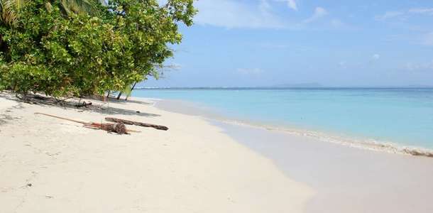 Berrak sularında yüzün