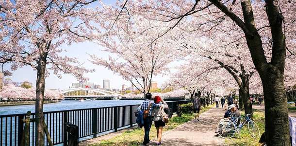 Kema Sakuranomiya Park