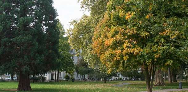 Parc Salvator’ta konser dinleyin