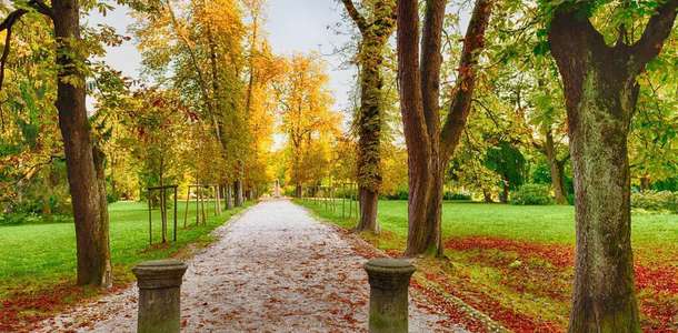 Tivoli Park ve Rožnik Tepesi’ne gidin