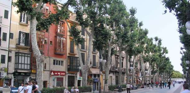 Passeig des Born