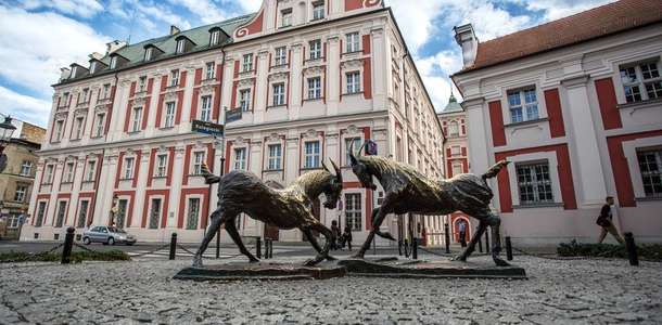 Mekanik keçileri fotoğraflayın