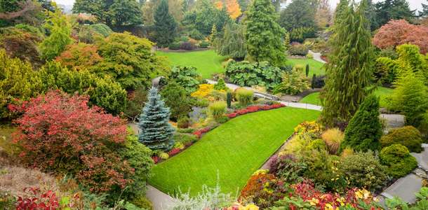 Queen Elizabeth Parkı