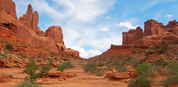 Red Rock Canyon Parkı'na gidin