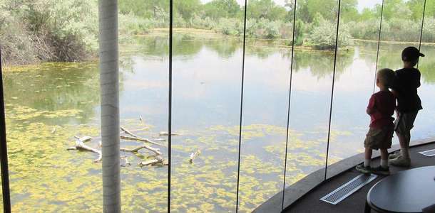 Rio Grande Doğa Merkezi Eyalet Parkı’nda doğayla iç içe olun
