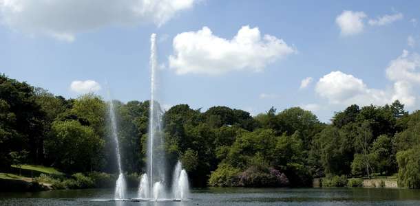 Roundhay Parkı’ndaki göl kenarında piknik yapın