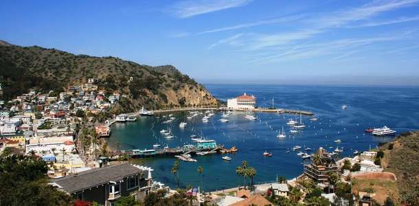 Santa Catalina Adası'na gidin