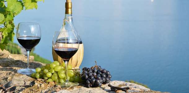 Domaine de Brin’de Fransız şaraplarının tadına bakın