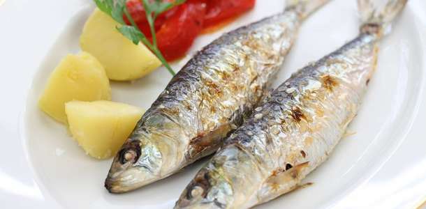 Sardinhas