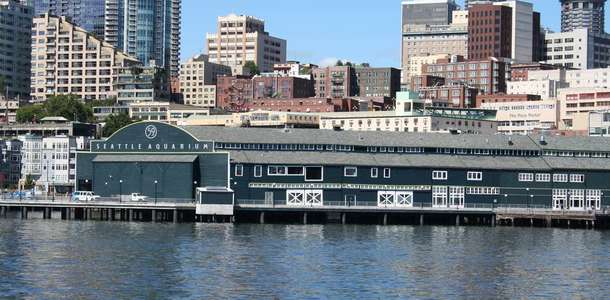 Seattle Akvaryum’da zengin sualtı dünyasını keşfedin