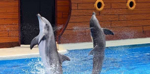SeaWorld