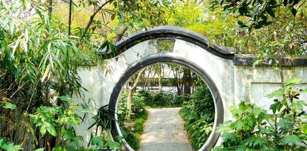 Guilin Park'ta kuş sesleri yarışmasını izleyin