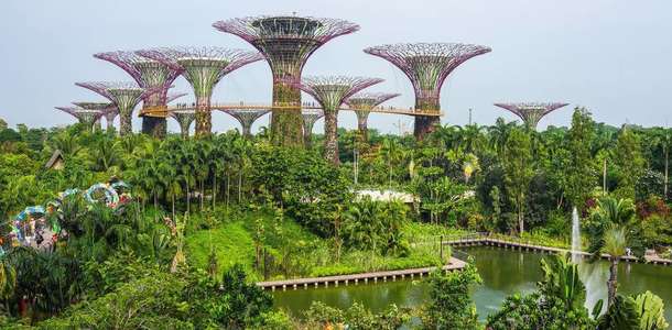 Singapur Botanik Bahçesi'nde dolaşın