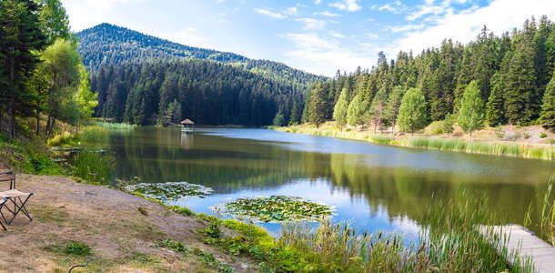 Sinop'un yemyeşil yaylarında kamp yapın