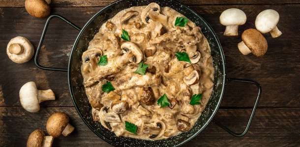 Stroganoff