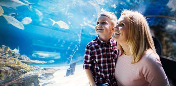 Sea Life Blackpool’da sualtı dünyasını gezin