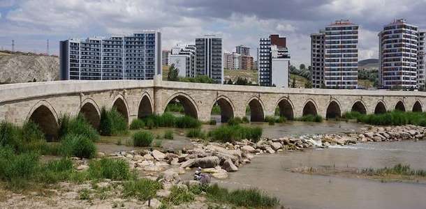 Tarsus