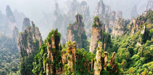  Zhangjiajie Milli Orman Parkı’na gidin 