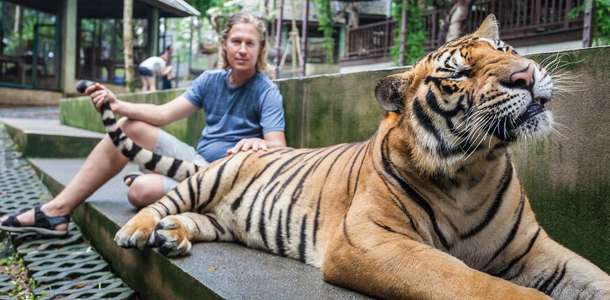 Tiger Kingdom