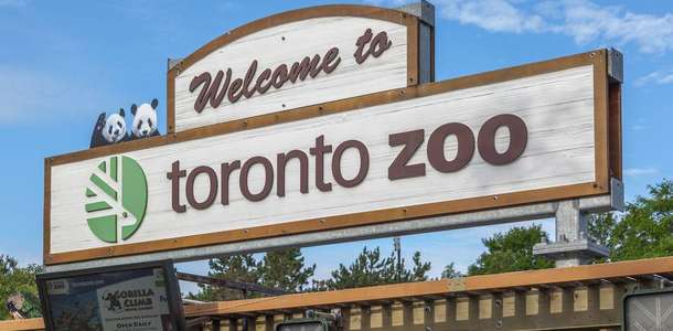 Toronto Hayvanat Bahçesi’nde eğlen 