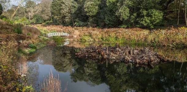 Trebah Bahçesi’nde çocuklar gibi eğlenin