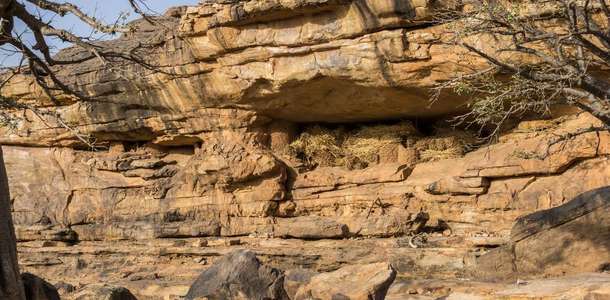 Trek Dogon bölgesine gidin
