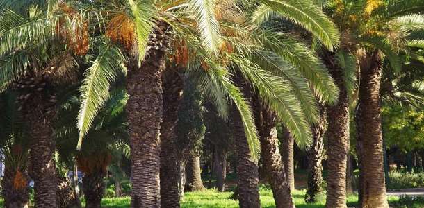 Belvedere Parkı’nda sakin dakikalar geçirin  