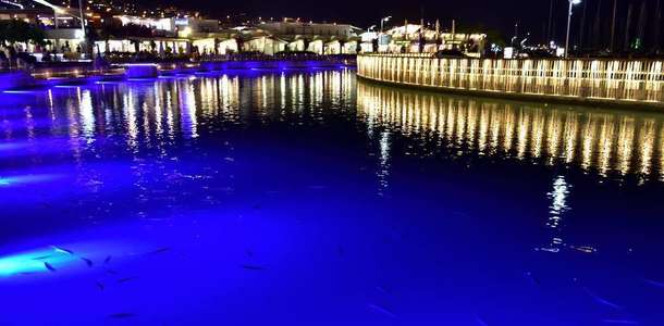 Turgutreis Marina’da müzik dinleyin ve dinlenin  