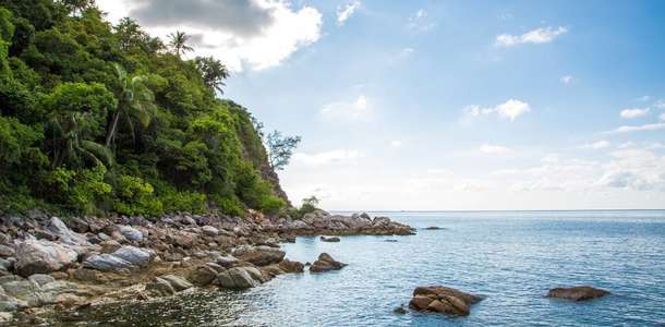 Turtle Point ve Manta Ray’de dalış yapın