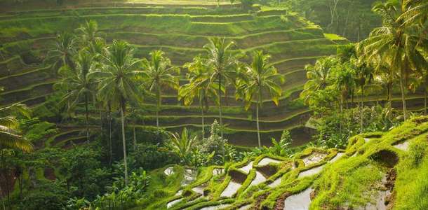 Ubud