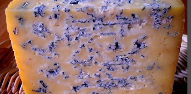 Fourme de Montbrison