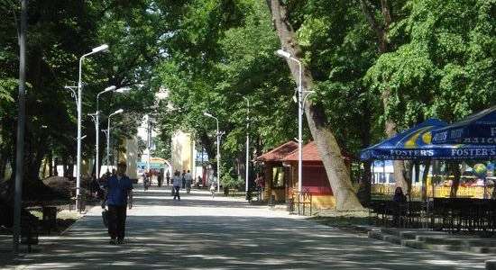 Chistyakovskiy Parkı