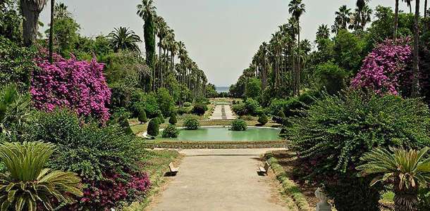 Le Jardin d’Essai du Hamma