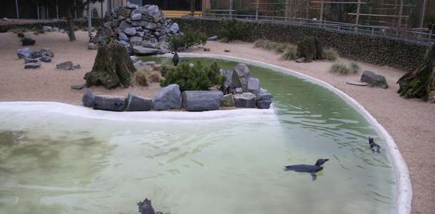 Tierpark Aachen: