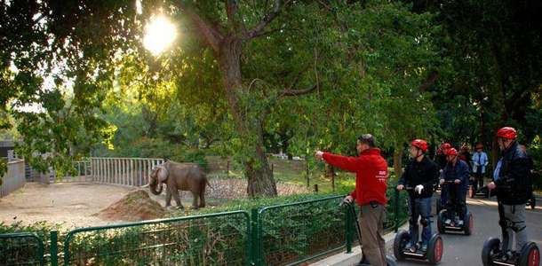 Safari Parkı