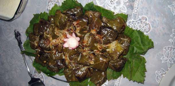 Dolma