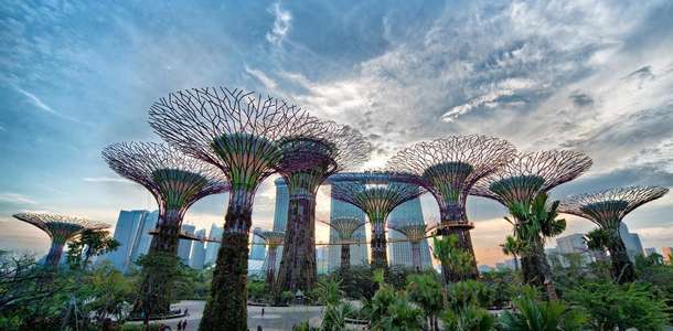 Gardens by the Bay