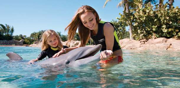 Discovery Cove